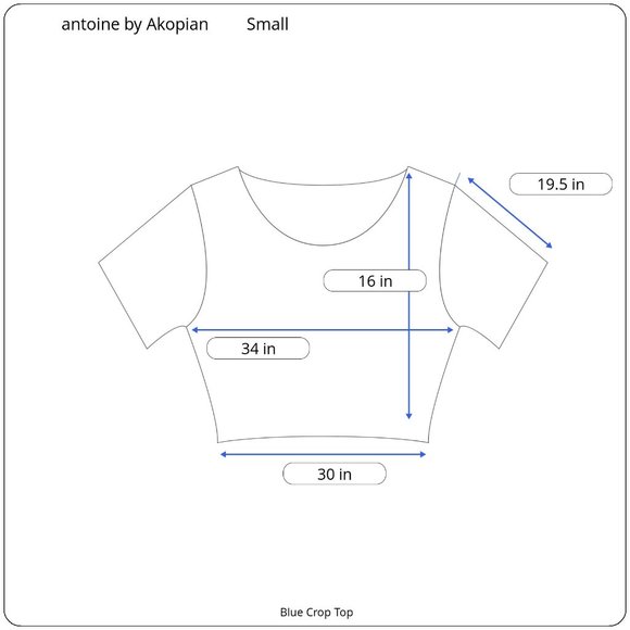 antoine by Akopian Blue Crop Top in Size Small - Picture 5 of 5